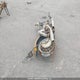 9D21811H8 1978 Harley-Davidson Fxe auction photo thumbnail 14