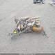 9D21811H8 1978 Harley-Davidson Fxe auction photo thumbnail 15