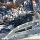 1FTFW1E56JFB92235 2018 Ford F150 Supercrew auction photo thumbnail 9
