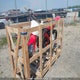 JH2PE052X8M600160 2005 Honda Crf450 R auction photo thumbnail 2