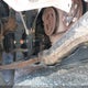 3N1AB8DV4MY224468 2021 Nissan Sentra Sr auction photo thumbnail 21