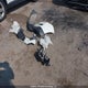 5N1AT2MV2KC760828 2019 Nissan Rogue auction photo thumbnail 12