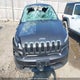 1C4PJMCSXHD225272 2017 Jeep Cherokee North auction photo thumbnail 12