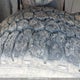 1N6AA0CC1AN307864 2010 Nissan Titan Xe/Se/Le/Pro-4X auction photo thumbnail 21