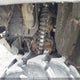 1HFTE45G9N4700245 2022 Honda Trx520 Fm auction photo thumbnail 10