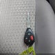 4T1BF1FKXEU337017 2014 Toyota Camry Le auction photo thumbnail 11
