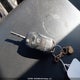 1FTEW1EF3FFB99767 2015 Ford F-150 Xlt auction photo thumbnail 11