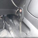1FMCU0GX2EUC78740 2014 Ford Escape auction photo thumbnail 11