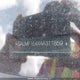 SALMF1E4XAA311859 2010 Land Rover Range Rover Hse Luxury auction photo thumbnail 17