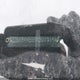 2D8HN44E89R507914 2009 Dodge Grand Caravan Se auction photo thumbnail 9
