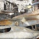 JA4J24A58LZ610299 2020 Mitsubishi Outlander Sel/Gt/Fe auction photo thumbnail 18