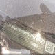 1FMCU9GN9RUA72405 2024 Ford Escape Active auction photo thumbnail 17