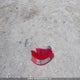 JTDBT923771138070 2007 Toyota Yaris auction photo thumbnail 12