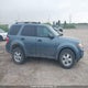 1FMCU9DG1CKC72669 2012 Ford Escape Xlt auction photo thumbnail 13