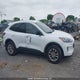 1FMCU9G63MUA13576 2021 Ford Escape Se auction photo thumbnail 12