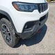 3C4NJDDN9RT145327 2024 Jeep Compass Trailhawk auction photo thumbnail 6
