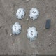 5NPDH4AE2DH335250 2013 Hyundai Elantra Gls/Limited auction photo thumbnail 12