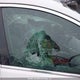 1G4PN5SK3F4216434 2015 Buick Verano auction photo thumbnail 20
