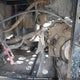 4XAWH7EA8C2702659 2012 Polaris Ranger 800 Crew Eps auction photo thumbnail 6