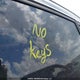 WA1LKCFP5CA061950 2012 Audi Q5 Premium Plus auction photo thumbnail 11
