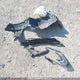 5N1AT2MT1KC837185 2019 Nissan Rogue S/Sv auction photo thumbnail 12