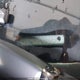 3FADP4EJXEM193452 2014 Ford Fiesta Se auction photo thumbnail 17
