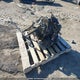 2BPSDBPA5PV000008 2023 Skidoo auction photo thumbnail 6