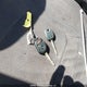 JF2SJEBC6HG804690 2017 Subaru Forester I auction photo thumbnail 11