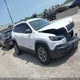 1C4PJMBXXLD625550 2020 Jeep Cherokee Trailhawk auction photo thumbnail 1