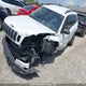 1C4PJMBXXLD625550 2020 Jeep Cherokee Trailhawk auction photo thumbnail 2
