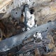 1GCPYCEKXNZ122239 2022 Chevrolet Silverado Ltd K1500 Trail Boss Custom auction photo thumbnail 7