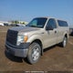 1FTRF12W99KC70052 2009 Ford F-150 Xl/Xlt auction photo thumbnail 2