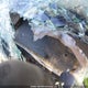 1FTWW31P86ED68878 2006 Ford F350 Srw Super Duty auction photo thumbnail 20