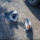 3N1CK3CP5HL237294 2017 Nissan Micra S/Sr/Sv auction photo thumbnail 12
