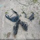 2HGFE2F23SH101789 2025 Honda Civic Sedan auction photo thumbnail 12