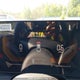 3KPFU4DE2SE107167 2025 Kia K4 Ex/Ex+ auction photo thumbnail 7