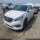 5NPE24AF6HH539554 2017 Hyundai Sonata Se auction photo thumbnail 2
