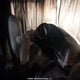 1F6NF53Y970A06315 2007 Ford F550 Super Duty Stripped Chass auction photo thumbnail 5