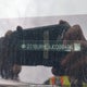 2T1BURHE3JC098496 2018 Toyota Corolla Se auction photo thumbnail 18