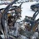 1FTEW1E50JFE30415 2018 Ford F150 Supercrew auction photo thumbnail 15