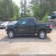1FTFW1EF0DFC15313 2013 Ford F-150 Xlt auction photo thumbnail 14