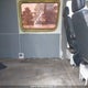 WD0BE845085281351 2008 Dodge Sprinter Van 2500 High Roof auction photo thumbnail 8