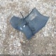 1HGCP26708A808056 2008 Honda Accord Ex auction photo thumbnail 12
