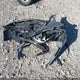 KMHLM4DG2SU870565 2025 Hyundai Elantra Preferred W/Tech Package auction photo thumbnail 12