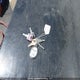 5RXTF2823F2203178 2015 Cruiser Radiance 28Rlss auction photo thumbnail 11