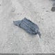 JM1GL1VM2M1605578 2021 Mazda 6 Touring auction photo thumbnail 12