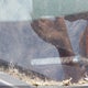 5J6RE48727L815112 2007 Honda Cr-V Exl auction photo thumbnail 10