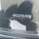 3N1CE2CP3EL392388 2014 Nissan Versa Note 1.6 S/1.6 Sl/1.6 Sv/Sv auction photo thumbnail 19