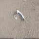 3FADP4EJ9BM204114 2011 Ford Fiesta Se auction photo thumbnail 12