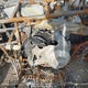 LCELVYZ36E6000017 2014 Cf Moto Cforce auction photo thumbnail 10
